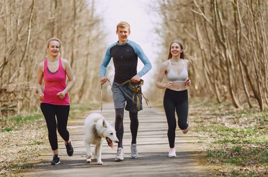 Three adults jogging with a dog on a forest path on a bright spring day, promoting healthy living.