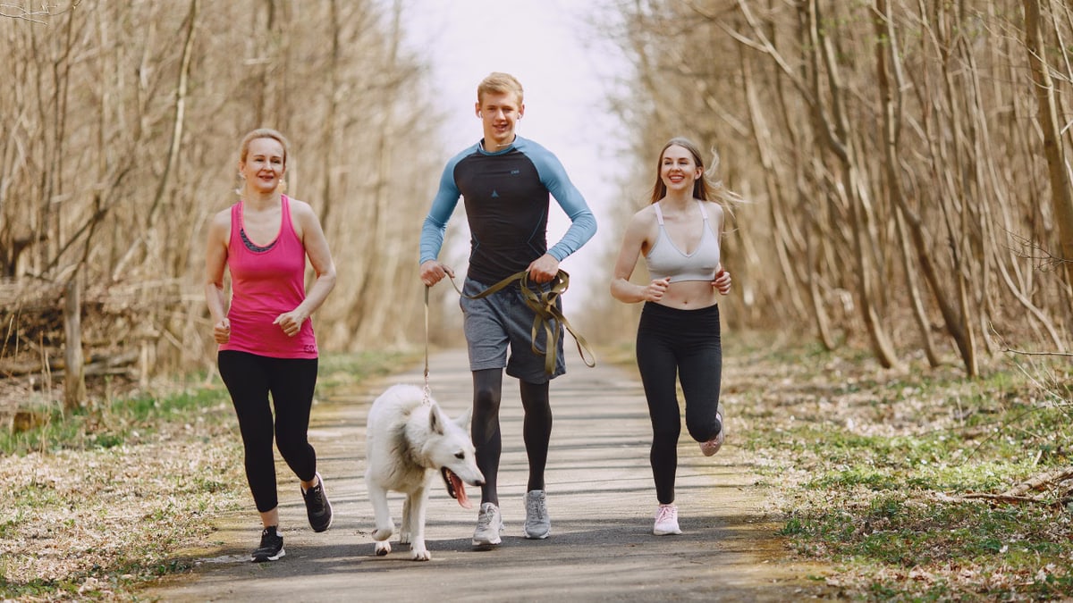 Three adults jogging with a dog on a forest path on a bright spring day, promoting healthy living.